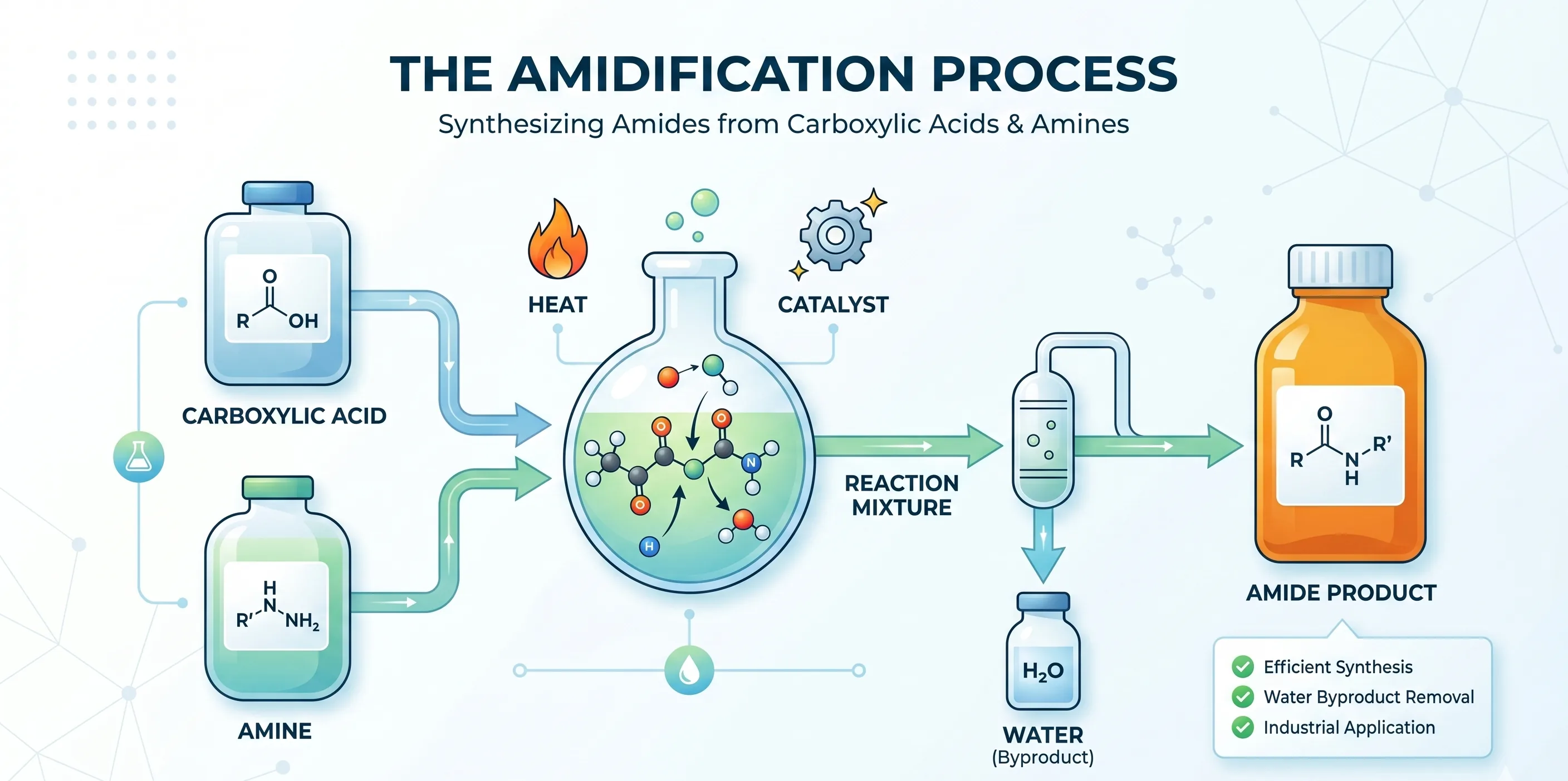 Amidification